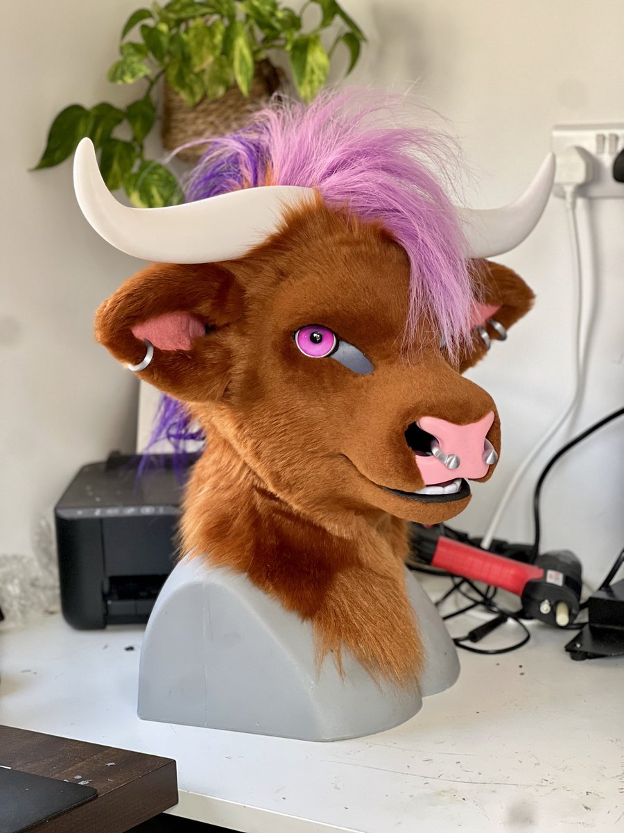 Biglionsden 🦁 @ Confuzzled tweet media