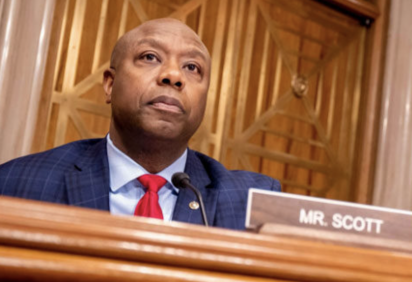 crypto_detente's tweet image. 🇺🇸 Tim Scott annonce un consensus proche sur la régulation crypto, avec un vote bipartisan prévu en mai :

👉 “Nous faisons de réels progrès.”

Pour la news détaillée : 🔗 t.me/crypto_detente

#Crypto #Regulation #US #Bitcoin #Markets