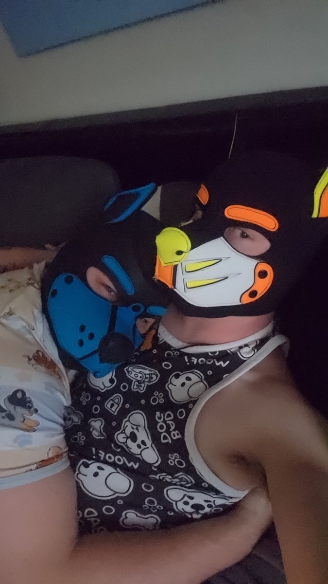 PScreams13's tweet photo. Woof got to finally meet @diaperboydandy yesterday 
Look at this good sogger.
Good day for a dog to just sog. https://t.co/sRE0EVSwmG