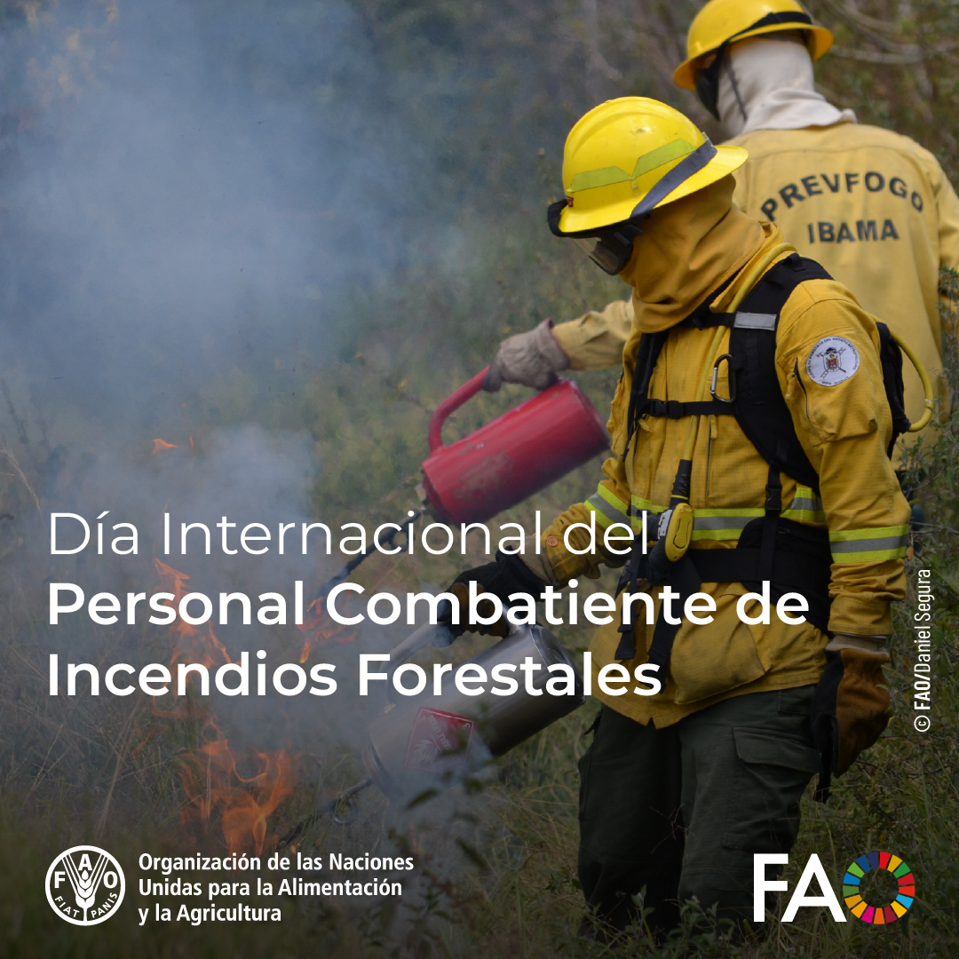 FAO Américas tweet media