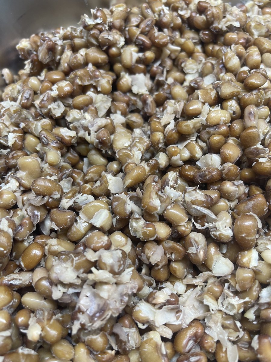 olobebukka's tweet photo. Rice and Beans hitting different today 😭🔥
Simple &amp; Satisfying! 🍛
Come Eat. Play. Relax. at Olobe Bukka 👀
📞 091 6461 7858 https://t.co/KneTJoap4D