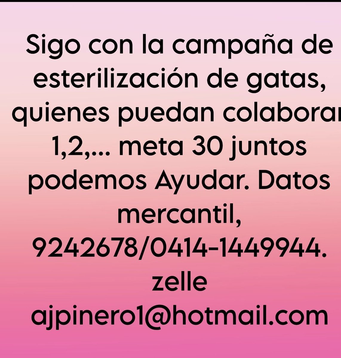 solanomarianam's tweet image. #AyudarNosHaceBien #Rts por favor Ayúdame a Seguir con #Esterilizacion de gatas ! 1$ se ha hecho muy difícil de obtener, no enriquece, ni empobrece a Nadie! Pero me ayuda a continuar para Salvar 👉🐱 tos con futuro INCIERTO @jacquim33 @arabellacadena @quemamoto @CeGonzalezurb