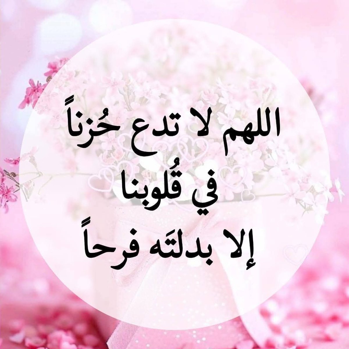 🌼مُـــــنَى 🌼 tweet media