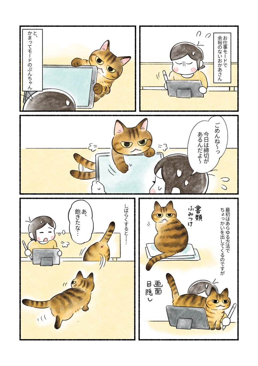 山麦まくら🐱書籍 5/21発売「スコスコ事件簿」 tweet media