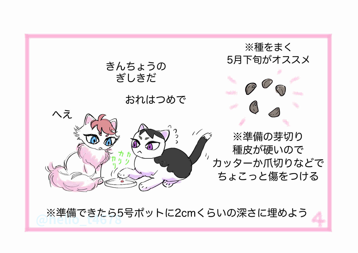 ひでちょ tweet media