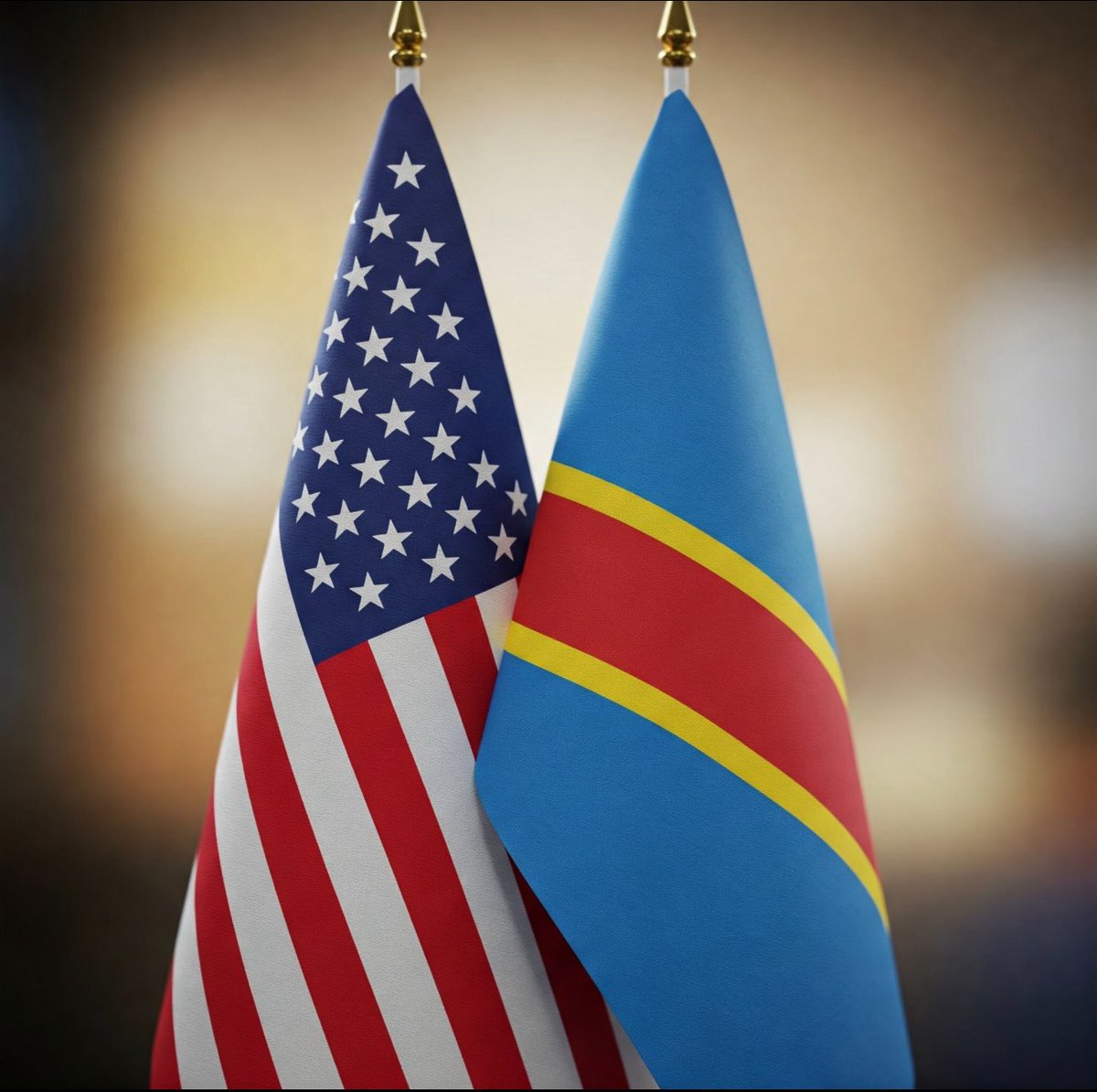 WAZALENDO 🇨🇩 USA tweet media