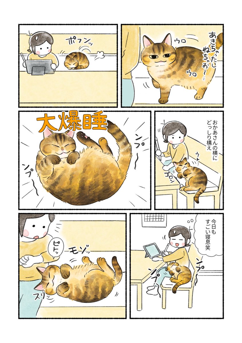 (2/3) 