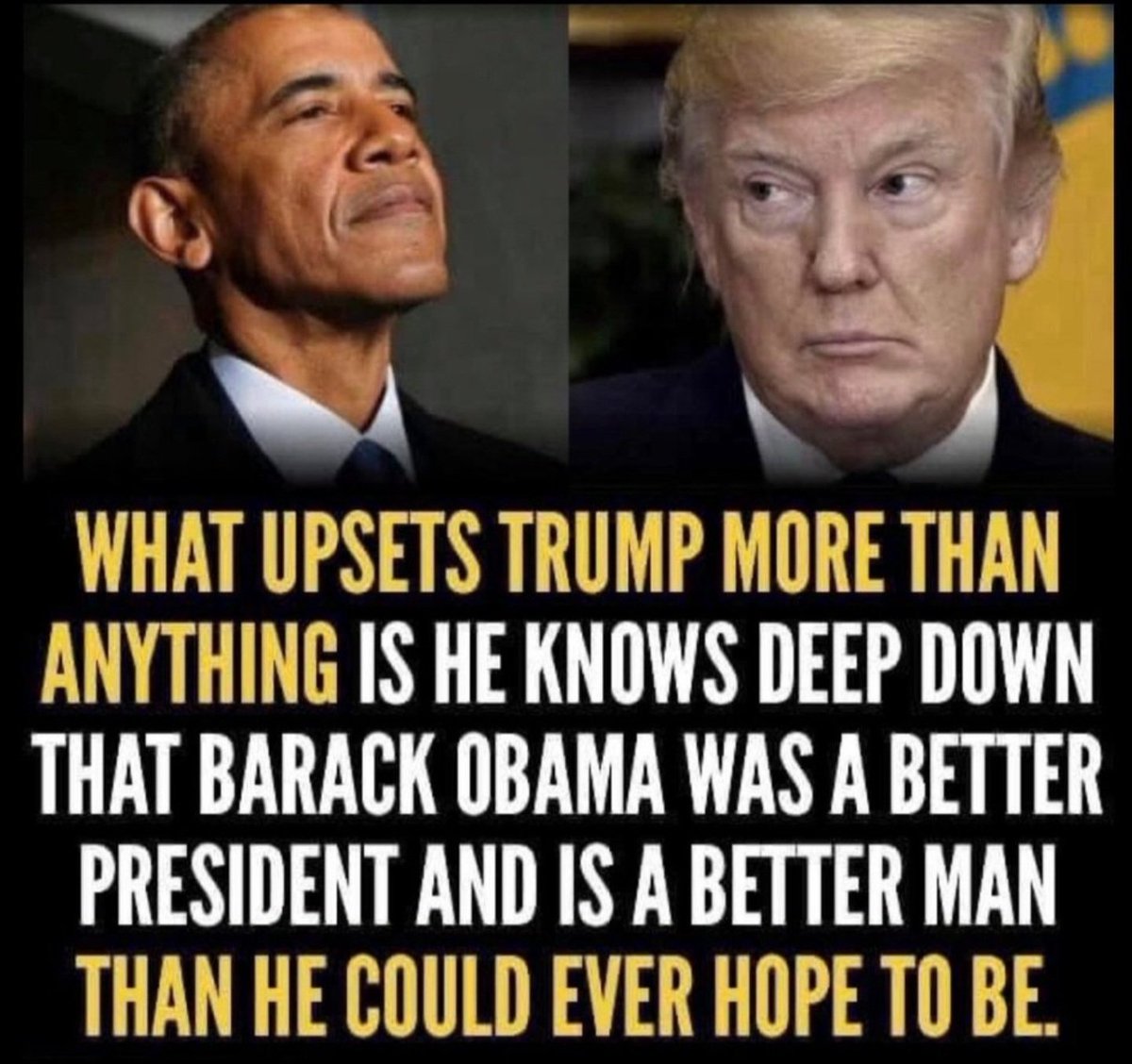 DumpTrump 2024 🇺🇸 💪 tweet media