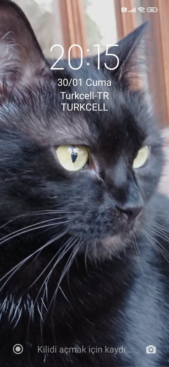 OYA YEŞİLADA tweet media