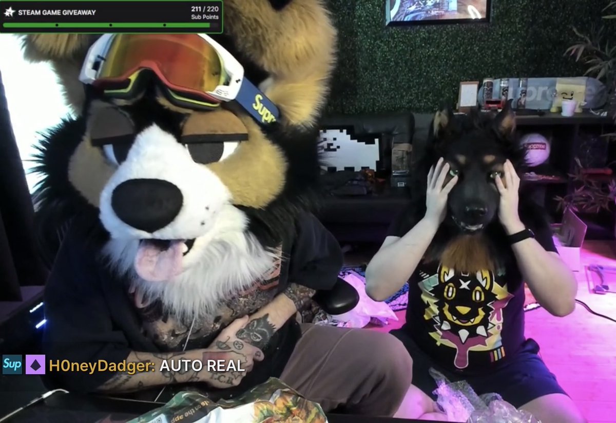 AutomataDog tweet media