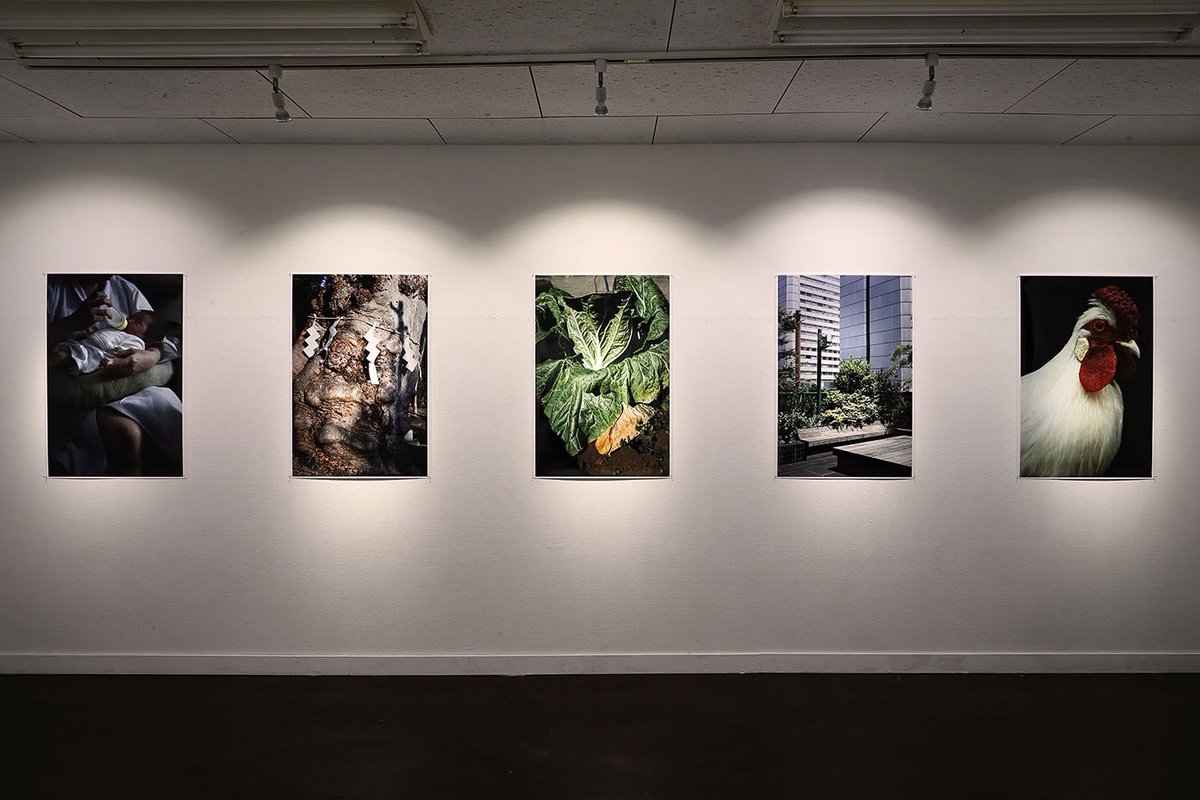 柴田裕哉写真展
「Y／Y」
開催中〜5月17日(日)迄
13:00-20:00 会期中無休

是非ご高覧くださいませ。

Yuya Shibata photo exhibition
[ Y／Y ]
Until May. 17th (Sun)
1pm-8pm
Open everyday during the exhibition.