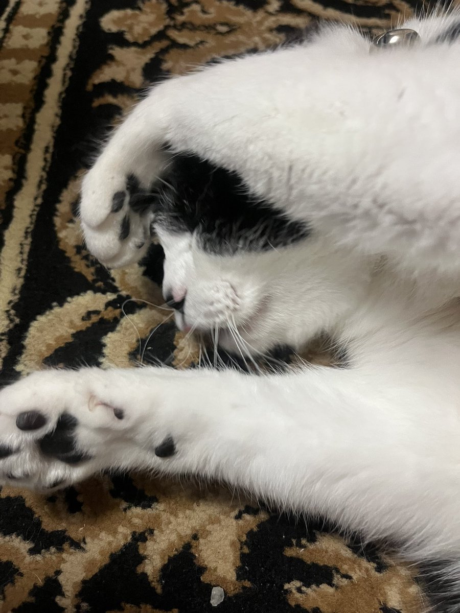 みっちょん (@aho326) / Posts / X