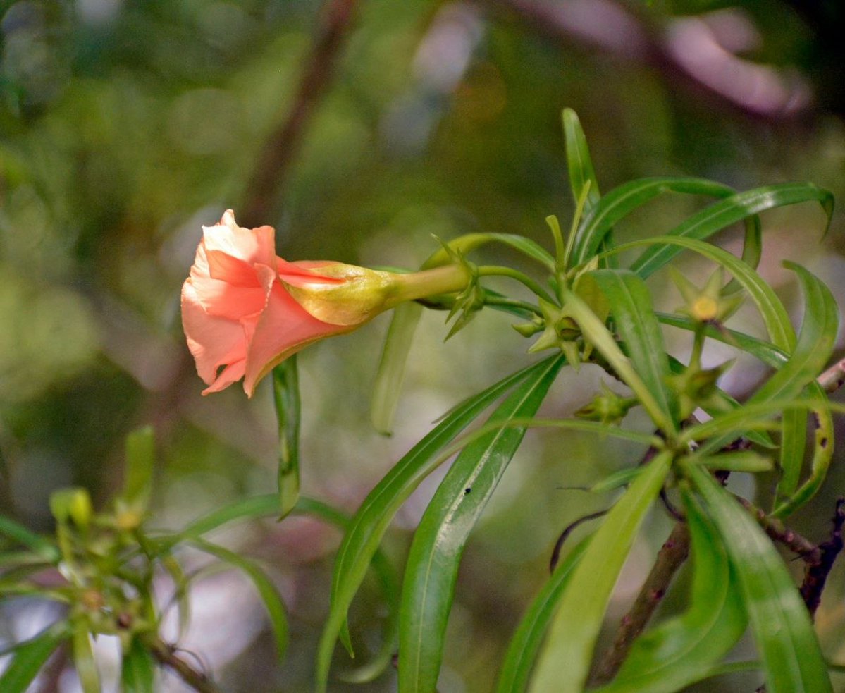 GonzalezMo77308's tweet image. ¡ #BuenosDias , amigos! 🥰

☀️Inicia la jornada, y con ella la oportunidad de unirnos y aportar con nuestro empeño el abono ideal para que en esta tierra🇨🇺 continúen germinando la creatividad, la paz y el amor.

#CiegodeAvila #Cuba