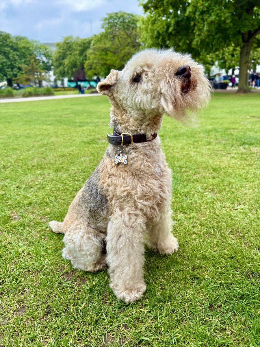 Bertie Lakeland tweet media
