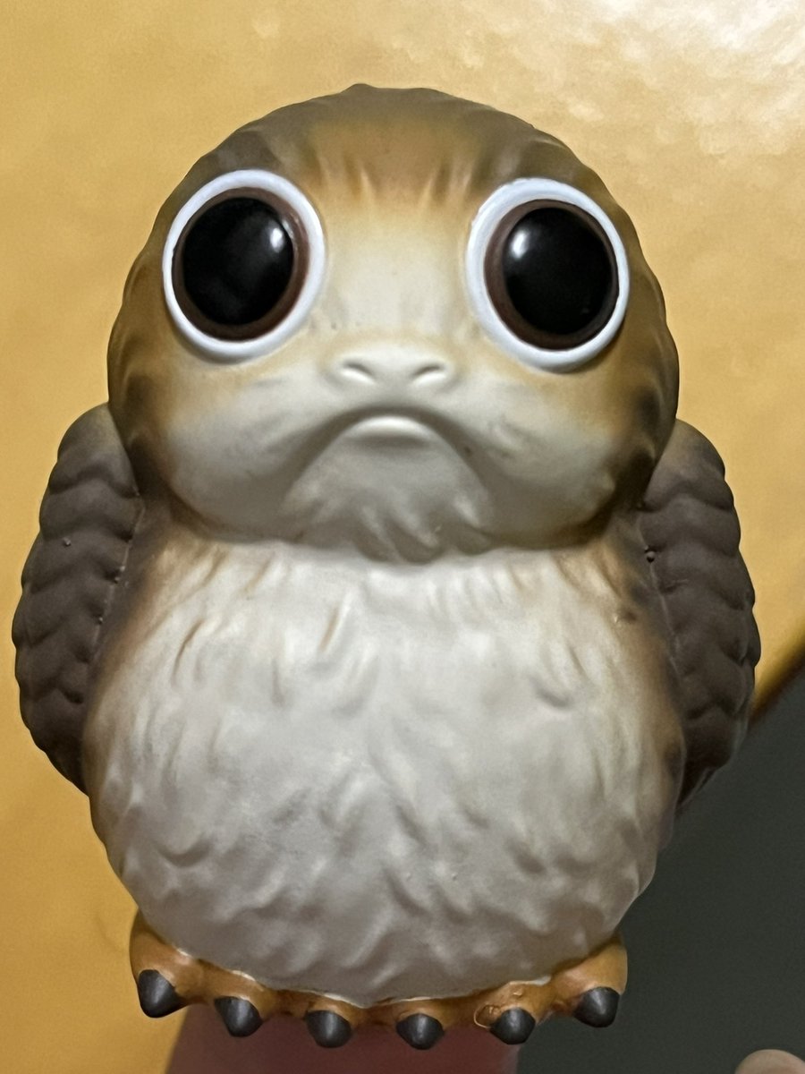 ア・ワモリ tweet media