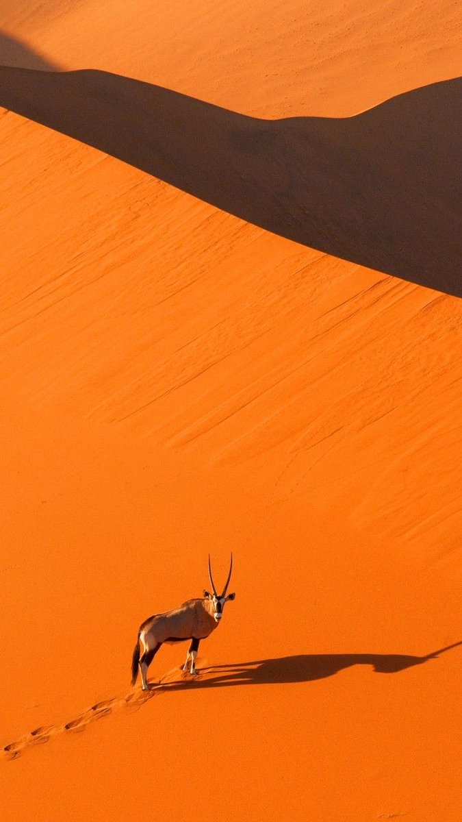 blu056's tweet photo. هلا @grok : استبدل الرمال بثلوج بنفس تشكيلة الرمال وعليها البطاريق والدببه والماعز.
خلونا نشوف الأشياء هذي في مكان واحد. https://t.co/ydRBHyU2TR