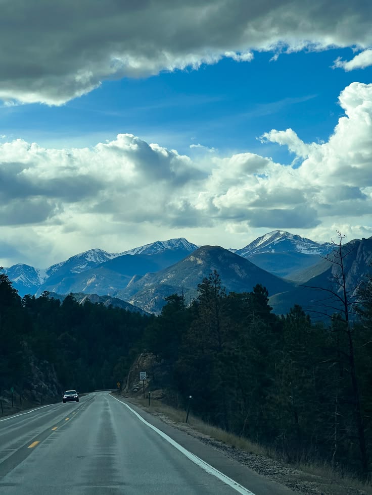 The Mountains tweet media
