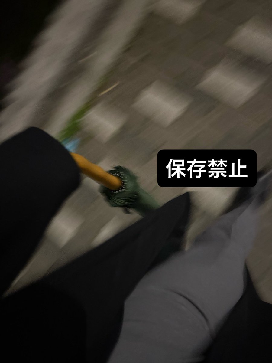 木蓮 tweet media