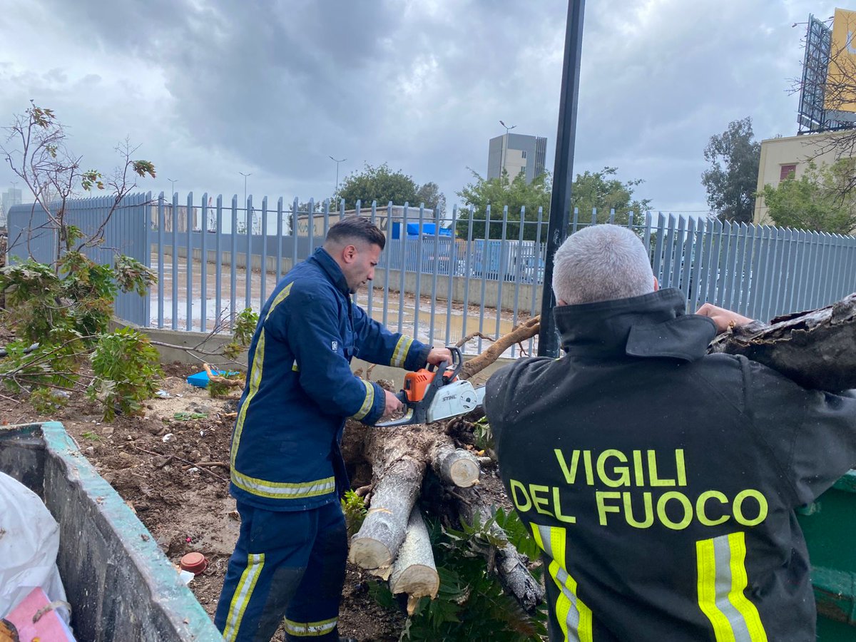 beirut_fire's tweet photo. بتاريخ ٢٠٢٦/٠٥/٠٤ عملت فرقة من فوج إطفاء بيروت مركز الكرنتينا على ازالة شجرة وقعت بفعل الرياح القوية   في منطقة الكرنتينا .
#فوج_إطفاء_ بيروت
#بلدية_بيروت
#مركز_الكرنتينا https://t.co/NQKK847m49