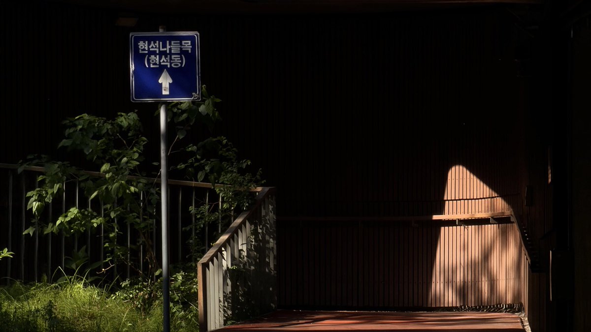 iteunnn's tweet photo. 한강에서 따릉이 탔더니 삶이 한 차례 미화됐다 https://t.co/47Lk1srWC0