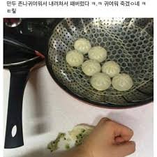 🪼 (상태:이벵중) tweet media