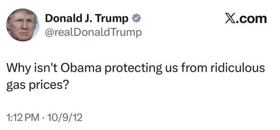 Timdog tweet media
