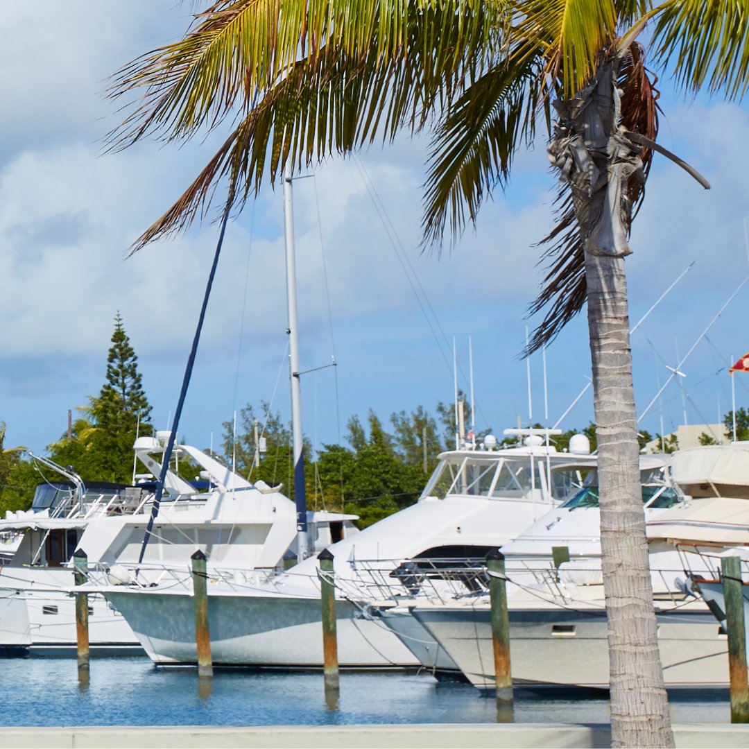PartyInKeyWest's tweet image. Get on a boat. #keywest #boating #boatlife

More: PartyinKeyWest.com/wp/
Follow us: @PartyInKeyWest
Hashtag us: #PartyInKeyWest