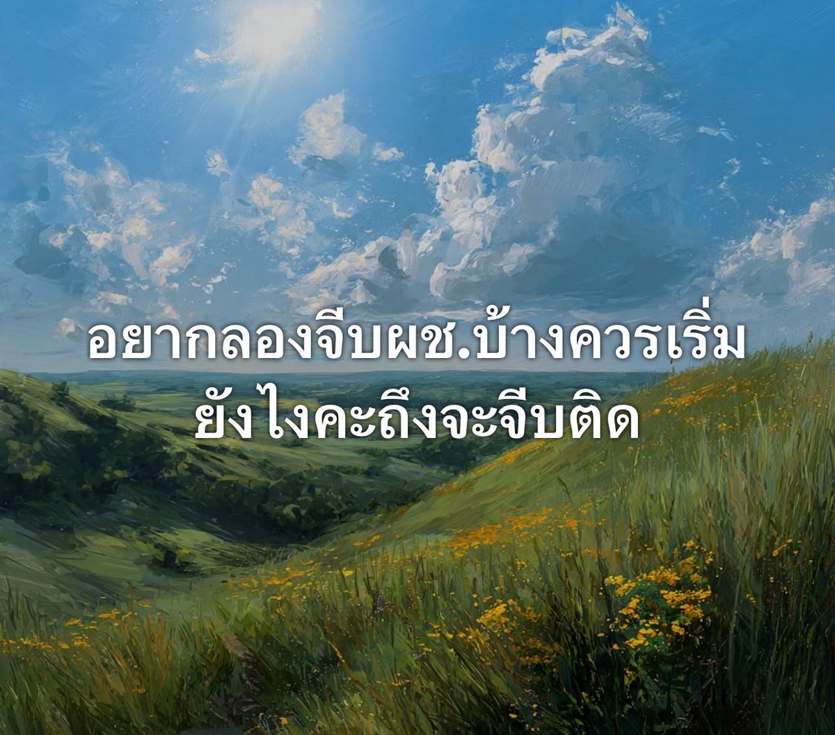 ช่างแม่ง🐰🏳️🌈 tweet media