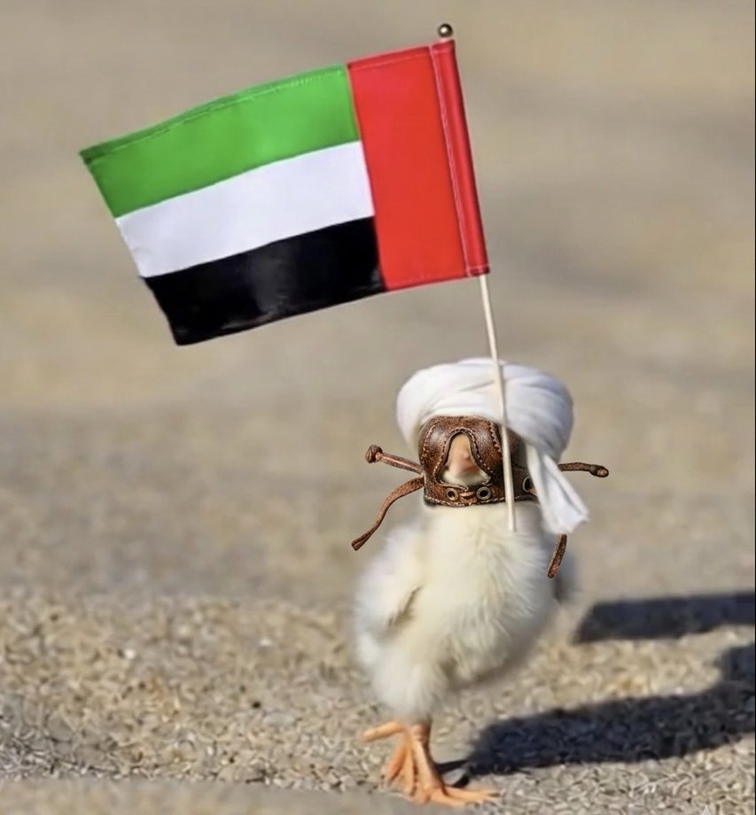 غازي الغنام tweet media