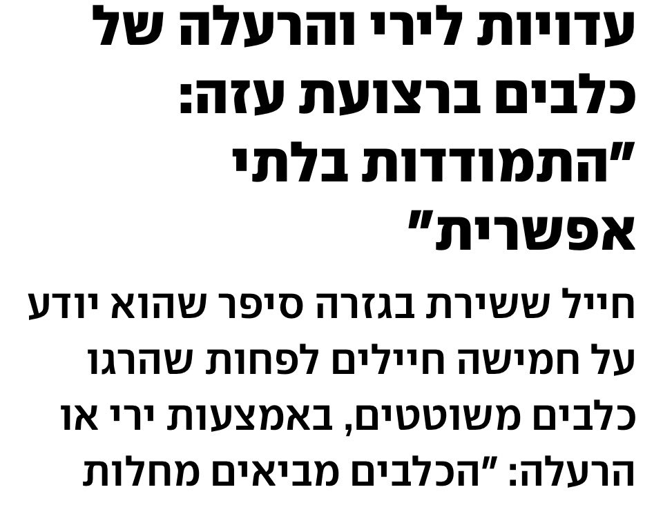 מגי אוצרי tweet media