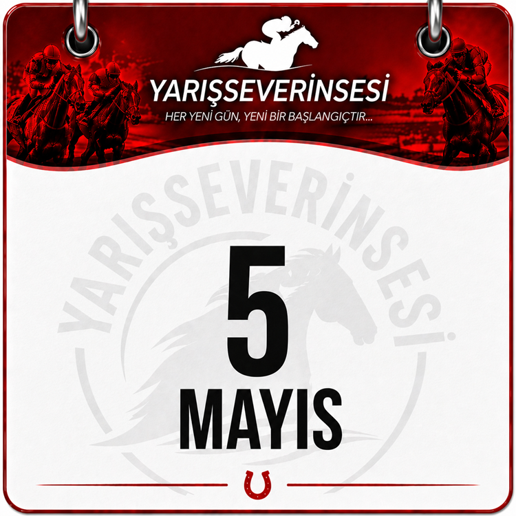 Yarisseverinsesi tweet media