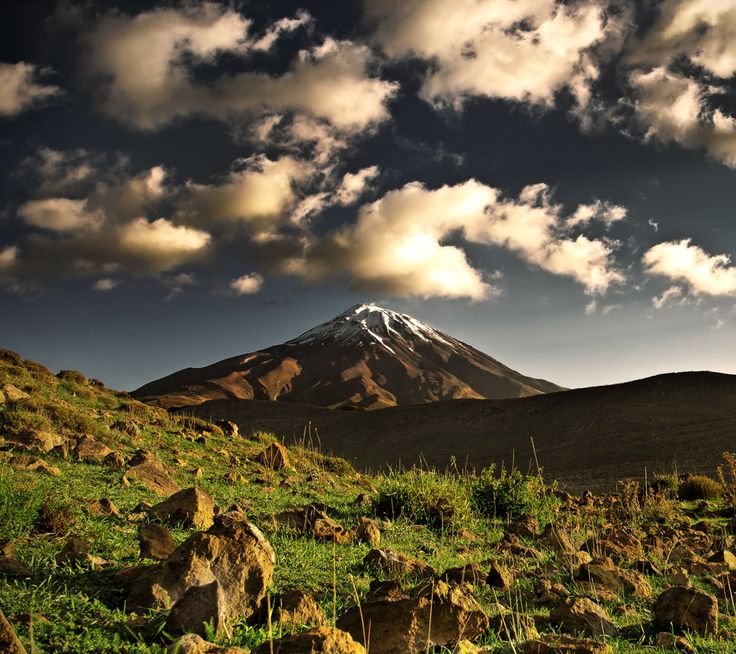 The Mountains tweet media