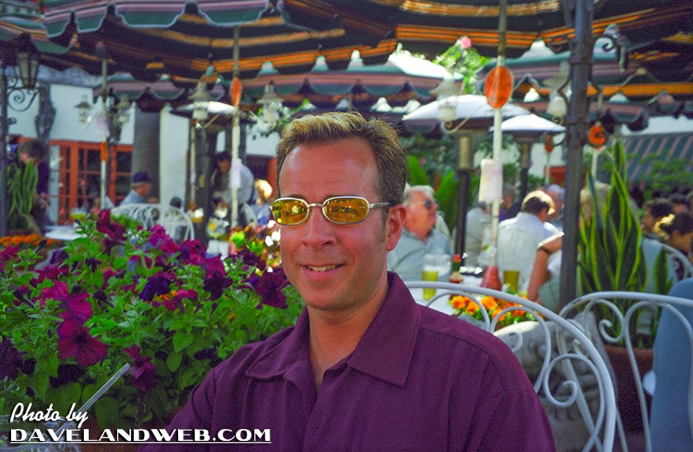 Davelandweb tweet media