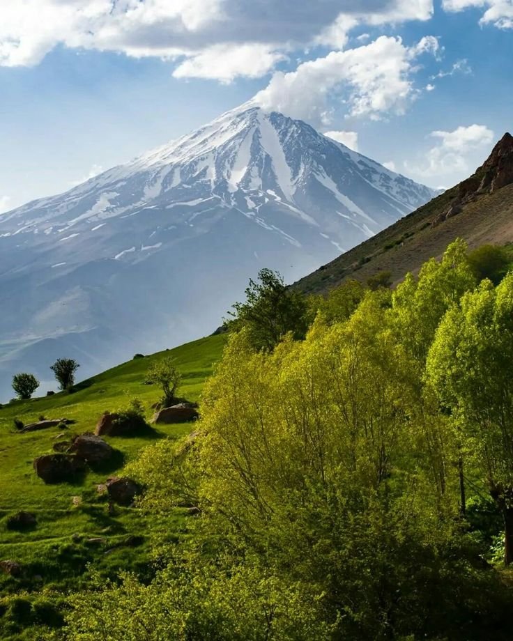 The Mountains tweet media