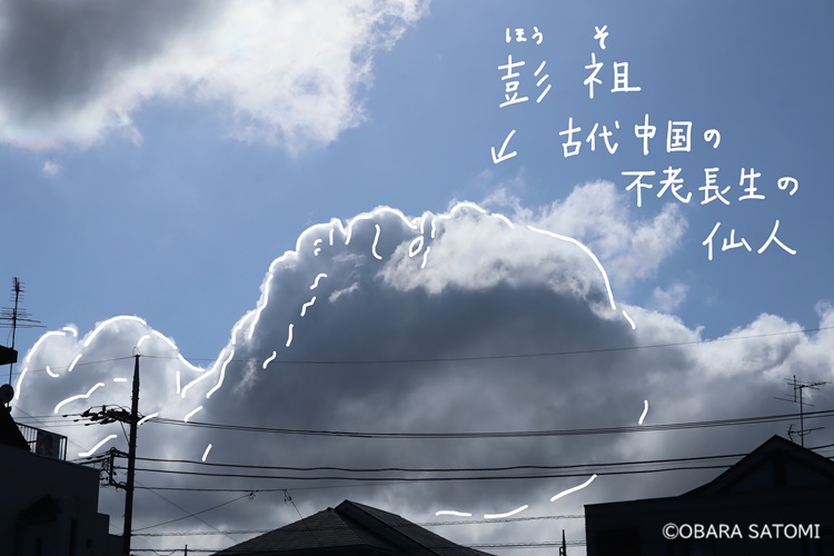 小原里美 tweet media