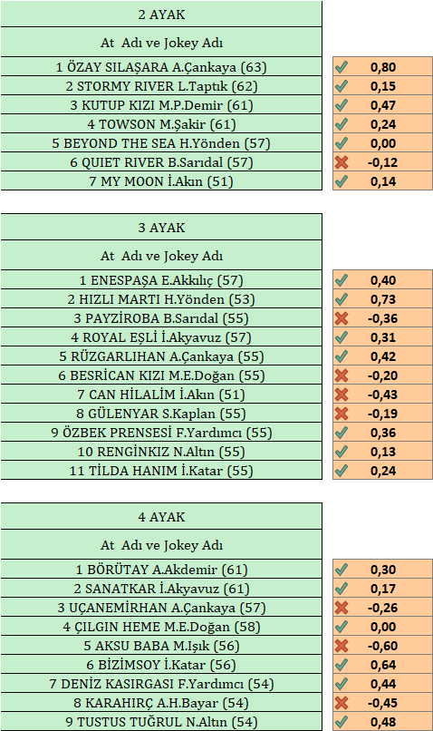 Yarisseverinsesi tweet media