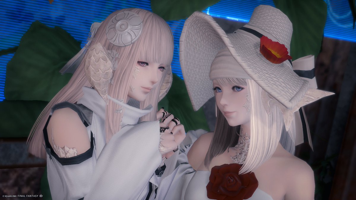 れあ@Chocobo tweet media