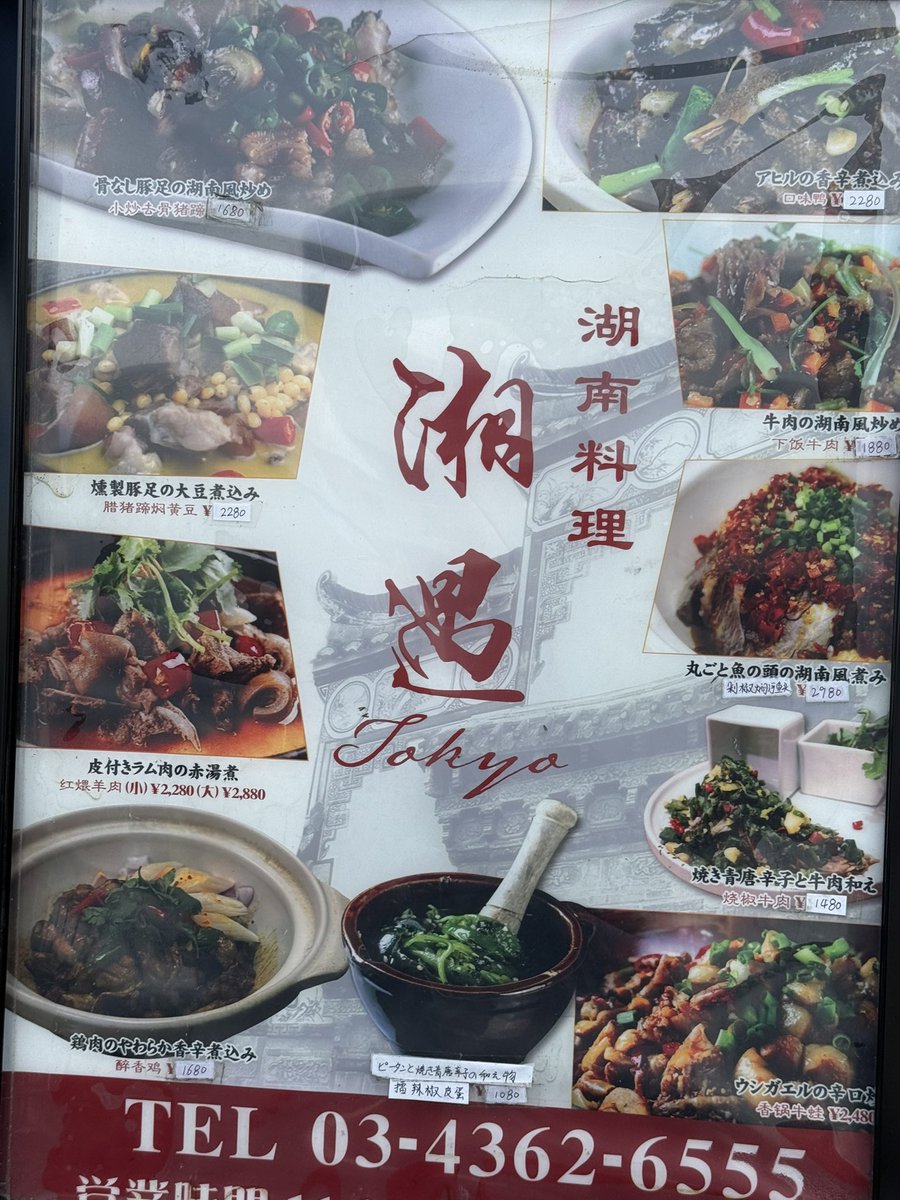 關敏|外食業界を人気産業にしたい社長✖️柔術(gatewing group 代表取締役) tweet media