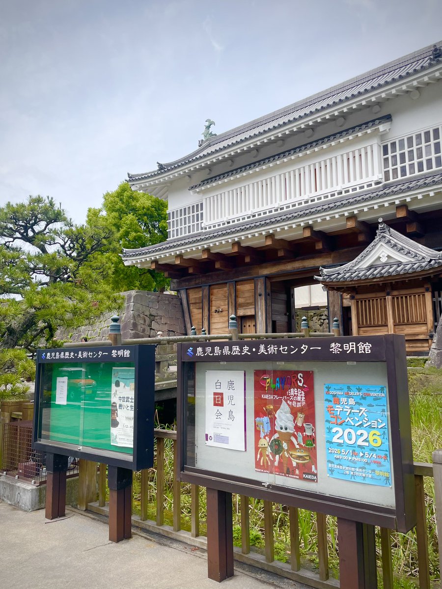 ぴーたーぱん tweet media