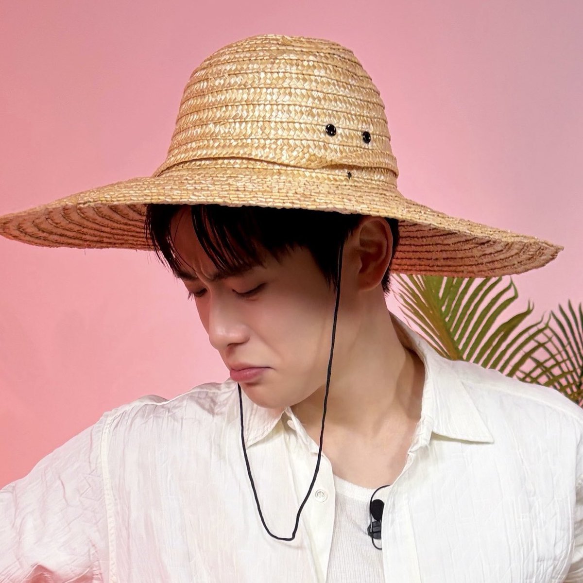 뽀이 tweet media