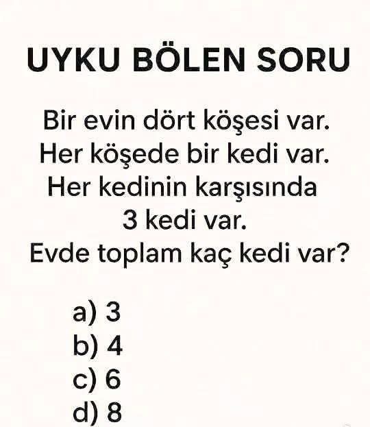Yağmur tweet media