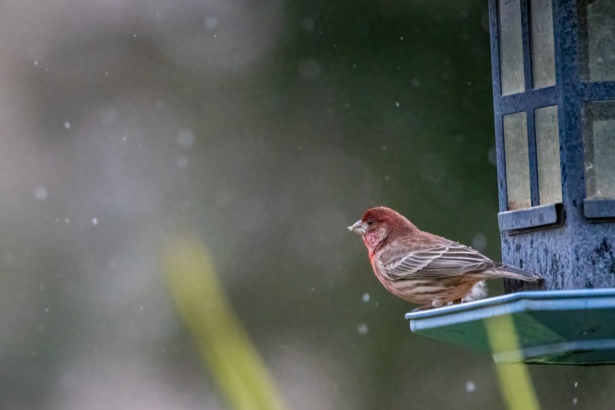 Tina Quillen Photography tweet media