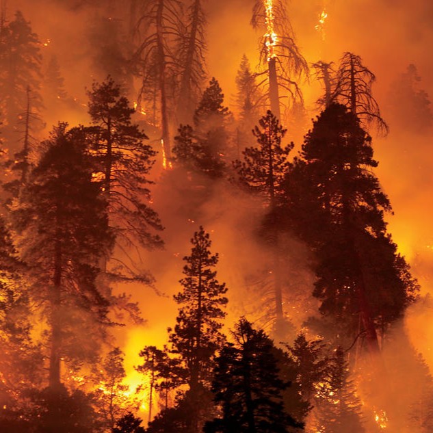 factpostnews's tweet image. The Forest Service has fallen behind on critical wildfire prevention efforts due to major funding cuts from Trump administration.

1.5 million fewer acres of high-risk forest have been prepared for ahead of this fire season compared to 2024.