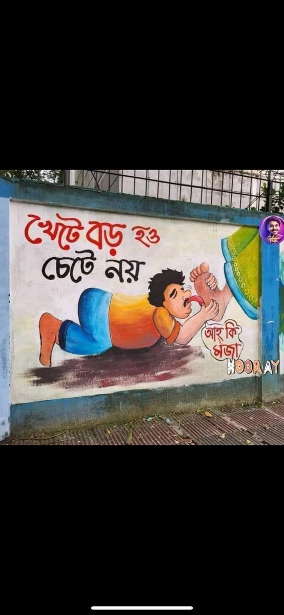 ALI🇧🇩 tweet media