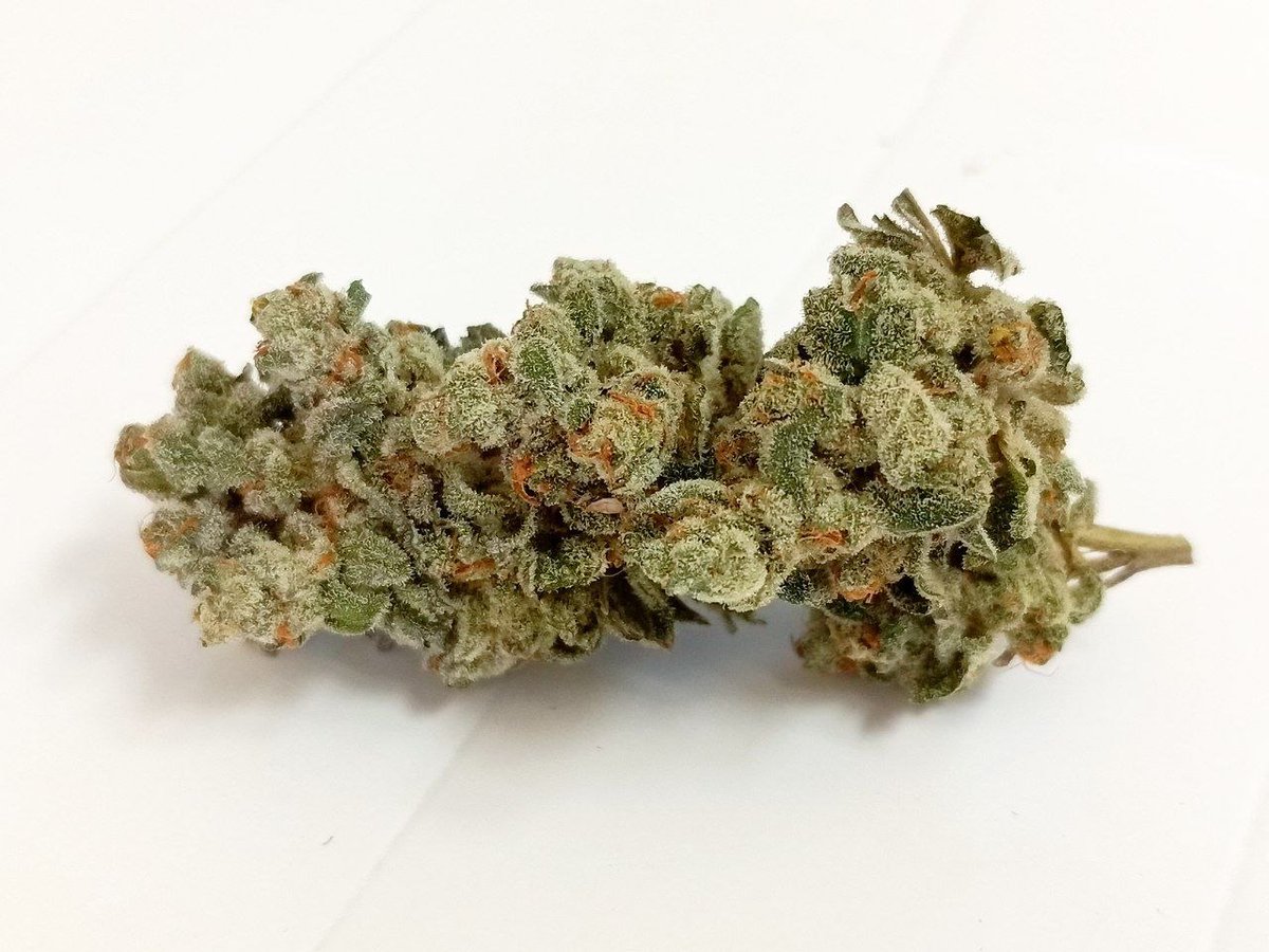 WeedmedZs's tweet image. Alguien me ah dicho... que la soledad, se esconde tras tus ojos.
Si es indoor, más vale que sea orgánica. #Cannabis #Plon #Yerba #Porro #blunt.
