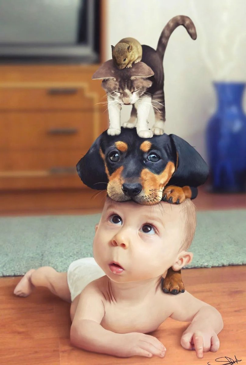 noveliciouss's tweet image. Oh, the thinks you can think!
Dr. Seuss
#writing #humour #inspiration #books #reading #film