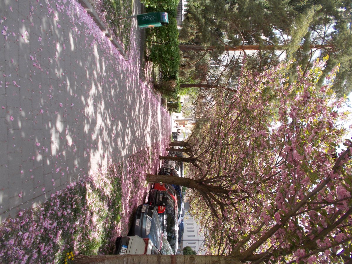 jake tweet media