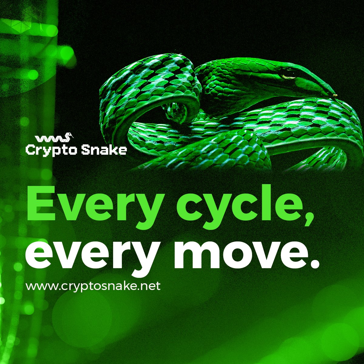 Crypto Snake tweet media