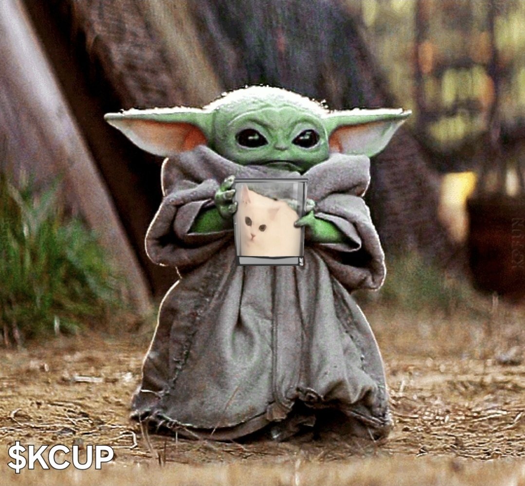 Kitty Cup $KCUP tweet media