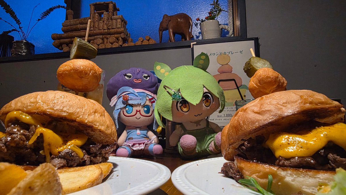 ハツユキソウ tweet media